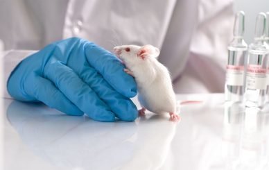 Lab rat in research study setting for BPC-157 side effect analysis