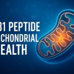 Illustration of SS-31 peptide supporting mitochondrial health with ATP symbols